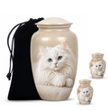 10 inch large Urn with 2 Keepsake 3 Inch Urns